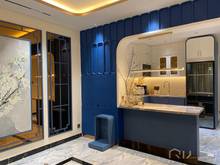 Hình ảnh Lê thúc hoạch đoạn vip nhất tân phú,5 tầng, thiết kế đẳng cấp, xe hơi
