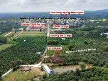 Hình ảnh Lãi suất tăng cao. Cần bán gấp vườn xoài ở La Ngà, có 100m2 thổ cư