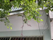 Hình ảnh Bán Nhà Gần Hẻm 358 Đường Cách Mạng Tháng 8, Quận 3, Giá Rẻ, 92m2