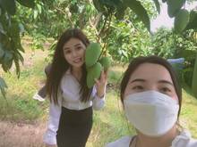 Hình ảnh Cần bán đất vườn xoài siêu đẹp, rẻ ở La Ngà - Định Quán