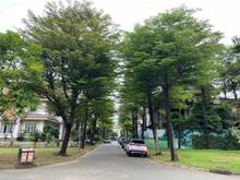 Hình ảnh Bán biệt thự Lan Anh Village - đường số 45, Bình An, Quận 2