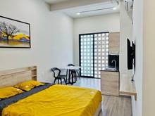 Hình ảnh Cho thuê CHDV studio giá rẻ khu vực Tân Bình 30m2