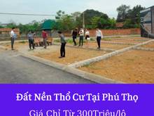 Hình ảnh Kiều oanh - chuyên đất nền thanh hoá phú thọ chỉ từ 180 triệu/lô