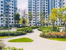 Hình ảnh Cho thuê căn 74m2 full Nội thất mới ở ngay được