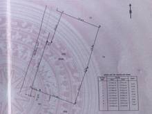 Hình ảnh Dưới 3,6 ty, đất Trang MB66.COM Chính Thức - MB 66 Uy Tín đường ba sa củ chi.1250m2(50 x 25)