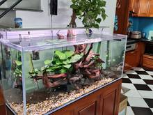 Hình ảnh Nhà 45m Phan Trọng Tuệ, oto đỗ cửa, dòng tiền 10tr, giá 3 tỷ