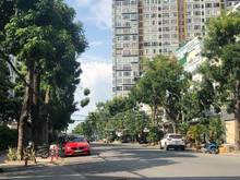 Hình ảnh Tôi đi định cư nước ngoài cần bán biệt góc 2MT thự khu La Casa Q7