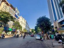 Hình ảnh Biệt thự siêu hiếm!tọa lạc phố trường Chinh hoa lệ 100m2, chỉ 26 tỷ