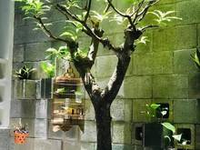 Hình ảnh Nhà Siêu Đẹp ở Ngay - Chủ là KIẾN TRÚC SƯ THIẾT KẾ - NỞ HẬU - 5 TẦNG
