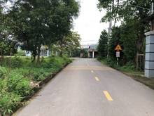 Hình ảnh Đất mặt tiền đường khu Kinh Doanh buôn bán.Gần chợ,UBND xã Giang Điền
