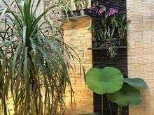 Hình ảnh Bán nhà Mặt tiền Khu Cư Xá Bắc Hải - Bạch Mã P.15, Q.10 ! 4x23m 25 Tỷ