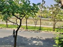Hình ảnh Cần bán mặt tiền Hoàng Sa, Quận 1 trệt 5 lầu mới Dt (5.2x 10.28)