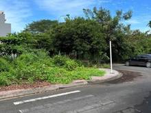 Hình ảnh Chủ ngộp cần bán lô đất đường Liên Phường 100m2 giá 2tỷ550 , Quận 9
