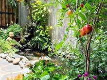 Hình ảnh Bán nhà - 100m2 - Hoa Hồng - Bình Trưng Đông - Quận 2 - chỉ 8 tỷ 9