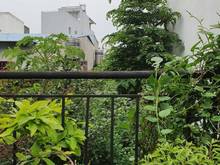 Hình ảnh Đất Ngang 4mx18m, 3.5Tỷ, Tân Chánh Hiệp03, Quận 12, Hẻm Xe Hơi Tới Đất