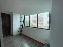 Hình ảnh ✨ KHAI TRƯƠNG CĂN HỘ DUPLEX ✨ Siêu mới  Giảm sốc 5x