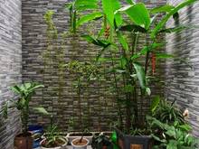 Hình ảnh Nhà liền kề Văn Phú, 90 m2, 4 tầng, thang máy, nhà mới