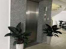 Hình ảnh Nhà Doãn Kế Thiện, Cầu Giấy 12,6 Tỷ, Homestay, 90m2 Doanh thu 80Tr/Thg