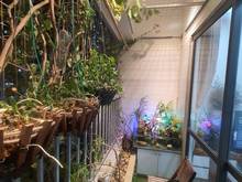 Hình ảnh Chính chủ cần bán nhanh Trang Chủ MB66.COM / Đăng Ký Tặng 66K chung cư 2ngủ, 2vs.