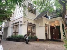 Hình ảnh Siêu Biệt Thự Khu Quan Chức- Lô Gốc Cực Thoáng