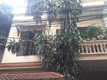 Hình ảnh Bán nhà Ngõ 20 Hào Nam, Đống Đa - 125m2x4T,MT 7.3m - 13 tỷ - Ô tô, KD