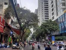 Hình ảnh Cho thuê toà nhà MP Nguyễn Tuân 270m2, MT 4.5m TT THANH XUÂN KD đỉnh