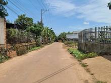Hình ảnh Bán 1 mãnh vườn nhỏ, vườn cây ăn trái giá chỉ 560Triệu tại Vĩnh Tân