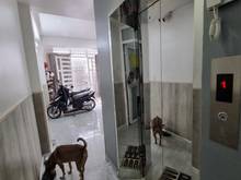 Hình ảnh Chdv 6 tầng btct kcn tân bình 13 phòng thu nhập 60tr dt 83m2
