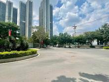 Hình ảnh Cần Bán Gấp Nhà Diện Tích To 294m2,Ngang 15m,Ô Tô Đổ Cửa,Quận 7.
