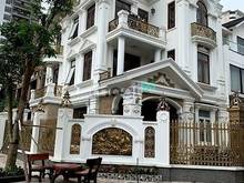 Hình ảnh Cho thuê Biệt thự KĐT Mới Dịch Vọng, 260m2, 5 tầng, thang máy, 50tr/th