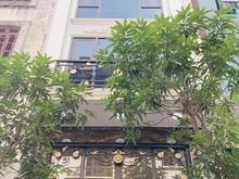 Hình ảnh Cho thuê mặt bằng Nhà phố Lương Thế Vinh- Thanh Xuân dt 75m2 x 7 tầng