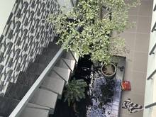 Hình ảnh Nguyễn Đức Thuận P13, Tân Bình - 83m2 HXH 4m - Nhà đẹp full nội thất !