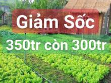 Hình ảnh 886,5m2 đất làm nhà vườn, sổ 2 mặt tiền, Sông Bình, Bắc Bình giá 300tr