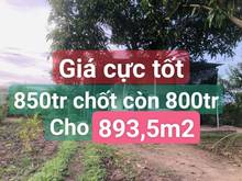 Hình ảnh 893,5m2 sẵn nhà C4, đối diện KCN, 38m mặt tiền oto, sát trường học