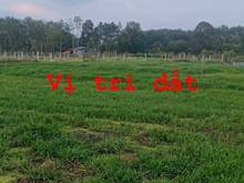 Hình ảnh Bán đất Củ Chi, 900m2 đường trải đá, TRUNG LẬP HẠ, giá 950 triệu