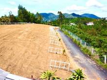 Hình ảnh bán đất nền xã lộc nam diện tích 300m2 ( ngang 14 dài 21,4) thổ 200m2