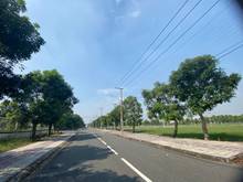 Hình ảnh Bán đất nền, đất Bình Chánh - TP.Hồ Chí Minh giá rẻ !