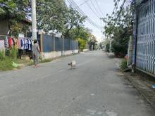 Hình ảnh ban gap lo dat 200m2 mat tien duong 11 truong tho gia nhin 10ty.5