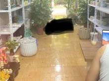 Hình ảnh Cho thuê nhà Đền Lừ 2,dt 40mx1 tầng. Giá 6tr/tháng đường oto tránh