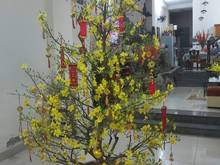 Hình ảnh Cho thuê nhà MT Phan Văn Trị, P.14, 4.7 x 20, 4 lầu giá 44 triệu/tháng