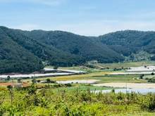 Hình ảnh Bán đất nghỉ dưỡng gần sân bay Liên Khương giá rẻ