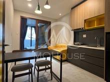 Hình ảnh Cho thuê CHDV studio, 1 và 2pn khu vực quận 11