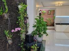 Hình ảnh Nhỉnh 6 tỷ, 56m2, An Lạc, Bình Tân.