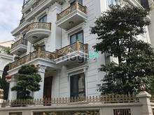 Hình ảnh Biệt thự lô góc Hoàng Đạo Thúy, 200m2, 5 tầng, 1 hầm, thang máy, 40tr