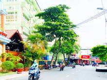 Hình ảnh 92m2- Bán nhà hẻm xe hơi Trường Chinh, Tân Bình -Mb6623 nạp rút nhanh chóng dịch vụ 5 tầng