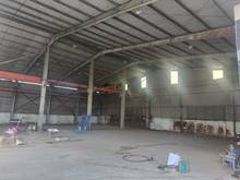 Hình ảnh Cho thuê Xưởng dt 1300m2 giá 80tr Phạm Văn Sáng Vĩnh Lộc A Bình Chánh