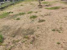 Hình ảnh Cho thuê 550m2 đất + 1 pn + 1wc