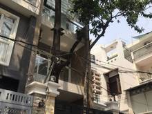 Hình ảnh Mặt tiền Ngay D2 phường 25 Bình Thạnh 60m2 4 tầng chỉ 11 tỷ TL