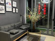 Hình ảnh Chung cư Quận 8 the Pegaguite cho thuê full nội thất