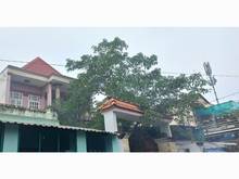 Hình ảnh Bán Biệt Thự Mặt Tiền 3 Tầng Đường Số Linh Trung  Dt 150m Giá 8.4 Tỷ